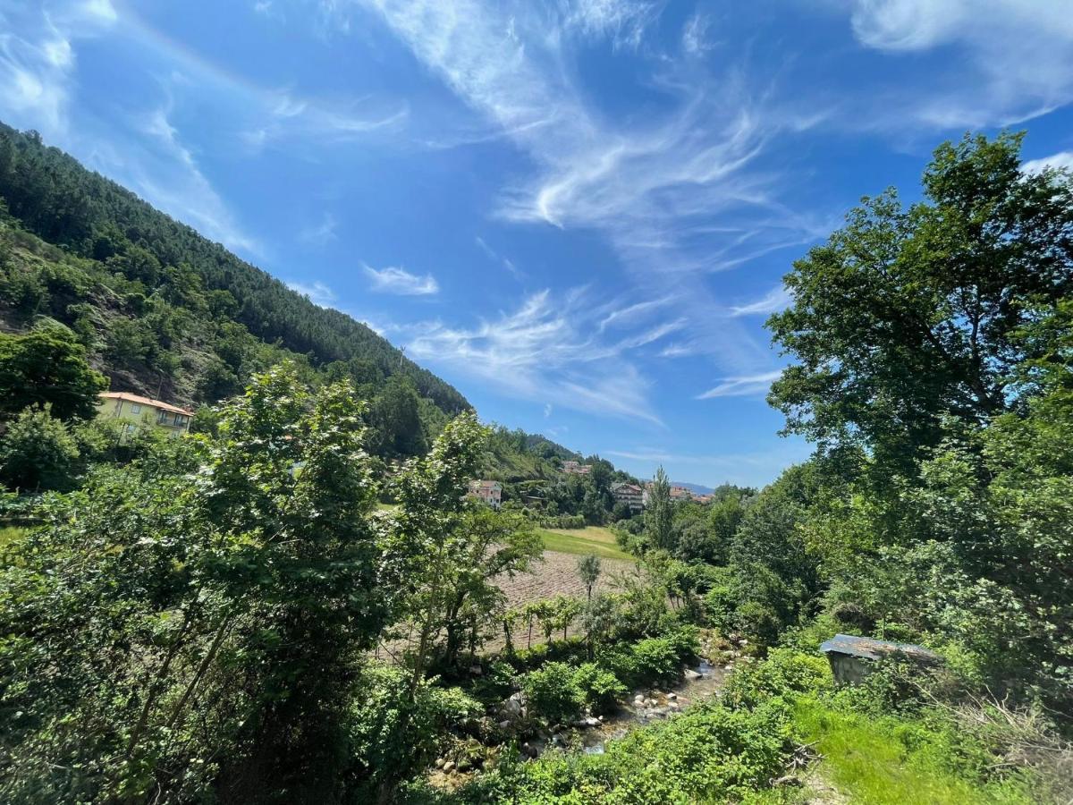 Chalet Teixeira - *